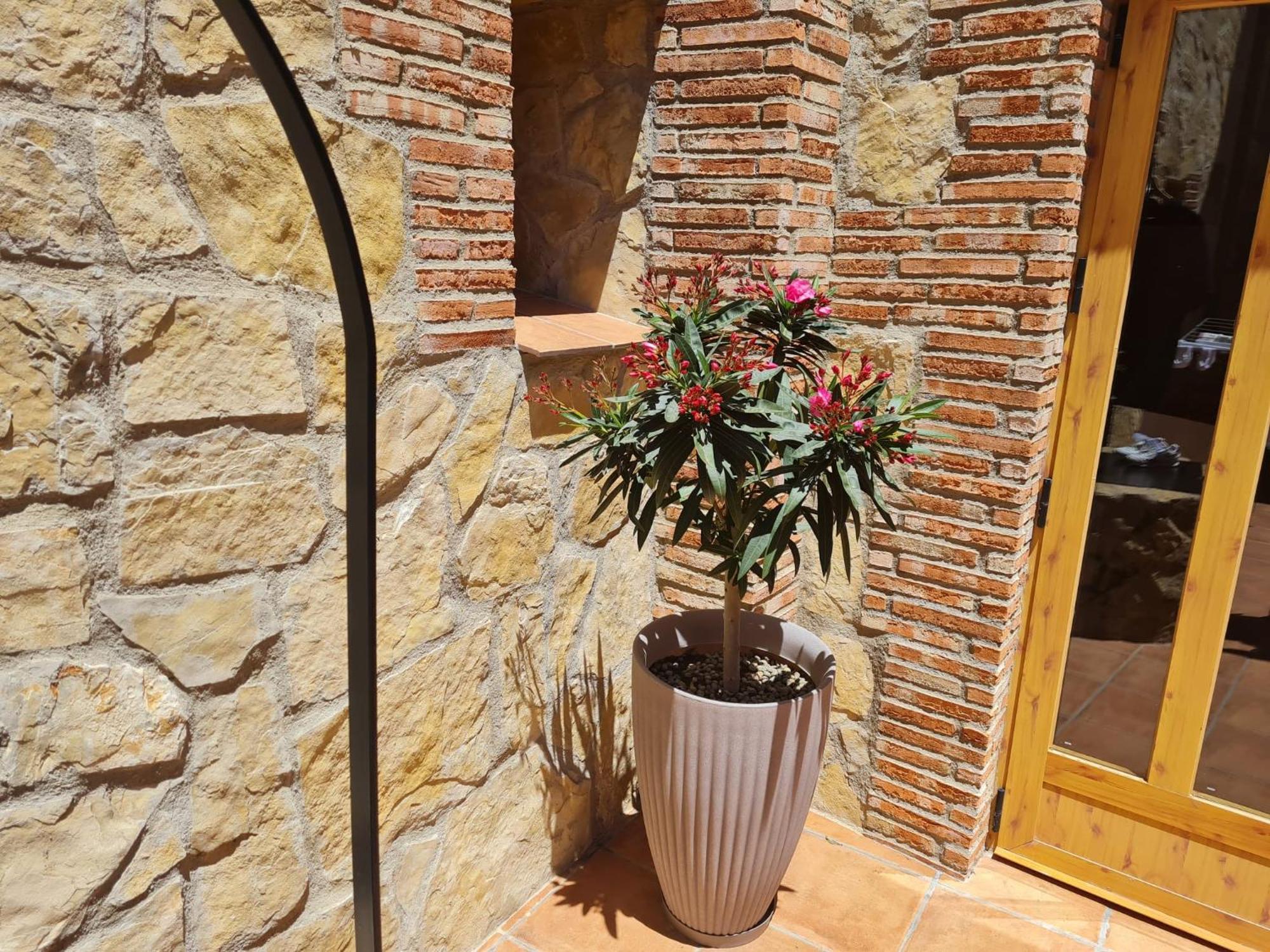 Casa Rural Del Pantano 4 Estrellas Buenache de Alarcon Екстериор снимка